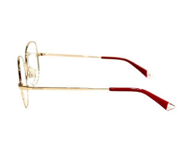 ARMAÇÃO PARA ÓCULOS DE GRAU ANA HICKMANN AH10046T 04B